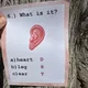 BODY PARTS - QUIZ 5