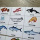 Bingo - Sea Animals (ručně malované) 3