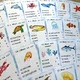 Obrázkový kvíz - Sea Animals 3