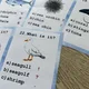 Obrázkový kvíz - Sea Animals 6