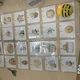 Den včel Bee-bot 🐝💛 7
