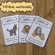 WARM-UP Speaking Cards - Zahřívací konverzační kartičky (56 otázek) 5