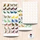 Pexeso s motýli | hmyz | motýli  2