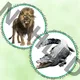 ZOO pohybový chodníček 2