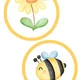 Včeličkový den mega balíček 💛🐝 7