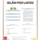 Islám pod lupou - Kompletní balíček do hodin ZSV zábavnou formou 3