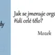 Riskuj! nervová soustava 4