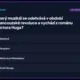 Riskuj! - Hudební výchova - Opakování 9. ročníku 9