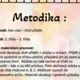 Den včel - Včelí příběh + otázky k textu 2