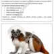 TATÍNKOVÉ V ŘÍŠI ZVÍŘAT - ČTENÍ S POROZUMĚNÍM  5