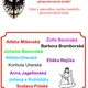 Přemyslovci 2