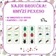 NAJDI BROUČKA! – HMYZÍ PEXESO  2
