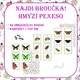 NAJDI BROUČKA! – HMYZÍ PEXESO  3
