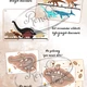 Soubor aktivit: Druhohory - Dinosauři 3