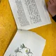 Max a záhada pampelišky  10