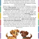 Pejsek Fez nás učí o IZS 🐶🚑🚒🚓 2