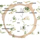 Botanická třída - kompletní sada výzdoby a organizace (sada 6 materiálů) 2