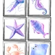 Ocean life - Running Bingo 3