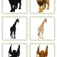 Exotická zvířátka – dvojice stínů 🦒🦜🐘 2