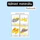 Angličtina hrou - Léto - Summer - pexeso, flashcards 5