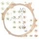 Botanická třída - kompletní sada výzdoby a organizace (sada 6 materiálů) 7