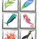 Ocean life - Running Bingo 4