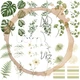 Botanická třída - kompletní sada výzdoby a organizace (sada 6 materiálů) 8