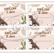 Diplomy - Dinosauři 2