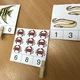 Mořská zvířata - počítání 1 - 12 (kolíčková aktivita) 4