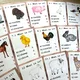 Obrázkový kvíz - Farm Animals 2