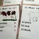 Obrázkový kvíz - Farm Animals 6