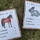 Obrázkový kvíz - Farm Animals 7