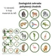 Zoologická zahrada set materiálu 🦍🦘🦛 8