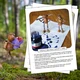 Zajímavosti na nástěnku: Světové dny – září a říjen 2