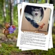 Zajímavosti na nástěnku: Světové dny – září a říjen 3