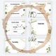 Botanická třída - třídní nástěnka a organizace 3