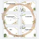 Botanická třída - třídní nástěnka a organizace 4