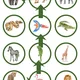 Zoologická zahrada pohybový chodníček 🦛🐒🦍 4