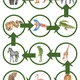 Zoologická zahrada pohybový chodníček 🦛🐒🦍 5