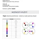 ENG - COLOURS (find pair, postřehovka) 2