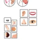Slovní zásoba na body parts 2