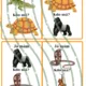 Já mám, kdo má - Africká zvířata  5