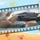 Vacation game 4