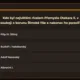 AZ-kvíz - České země za dob Přemyslovců 8
