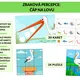 Zraková percepce: Čáp na lovu 2