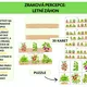 Zraková percepce: Letní záhon 2