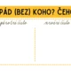 Pády podstatných jmen - přehledové plakáty 6