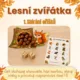 Lesní zvířátka - hry s kostkou 2