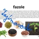 Připravujeme zdravé ovocné a zeleninové saláty 8