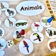 Velká sada - Wild Animals 2